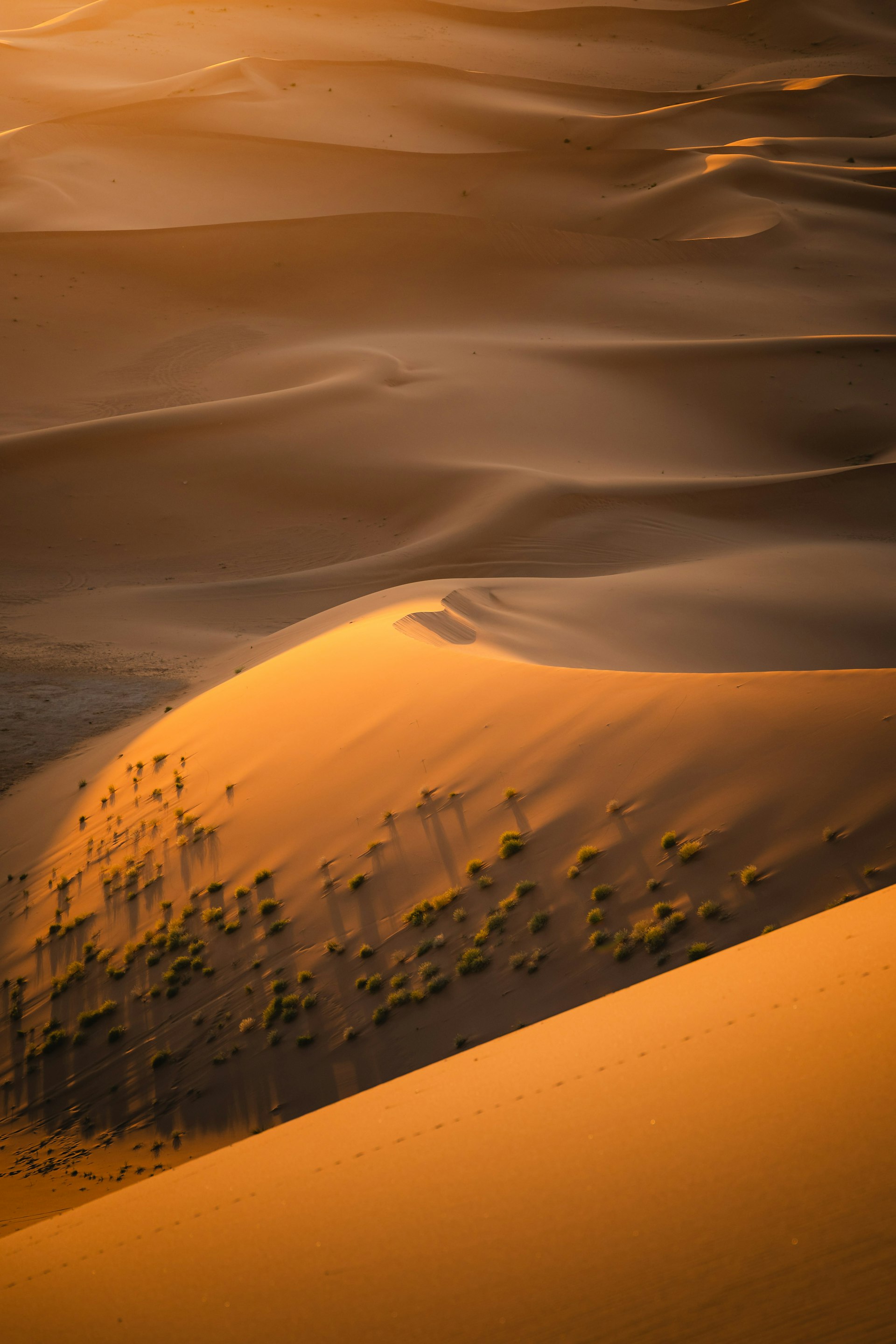 Dubai desert safari with golden sand dunes